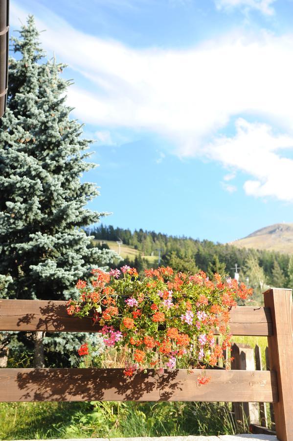 Chalet Garden Livigno Dış mekan fotoğraf