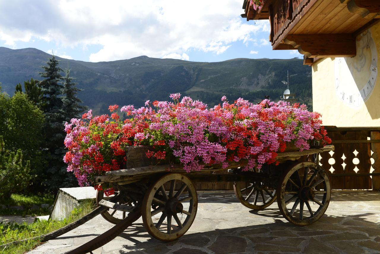 Chalet Garden Livigno Dış mekan fotoğraf